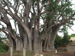 261434_10150257390629901_6346732_n